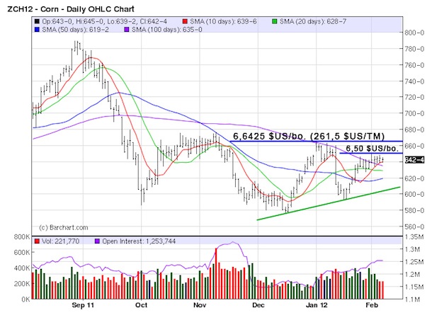 Corn tech MT 7 fev 12